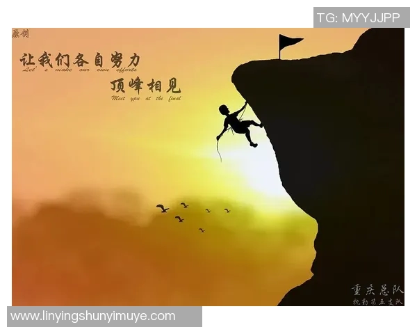 武汉攀岩队的奋斗历程与梦想追逐的真实记录与感悟